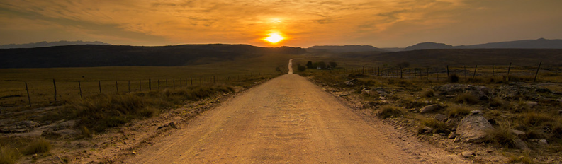 Camino