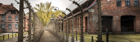 Auschwitz Challenge Auschwitz Challenge